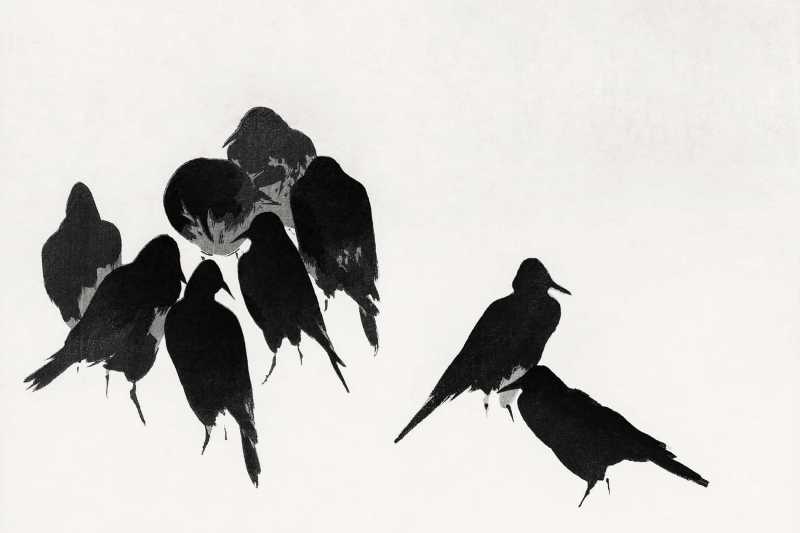 ….. comfort in Your Daily Life?