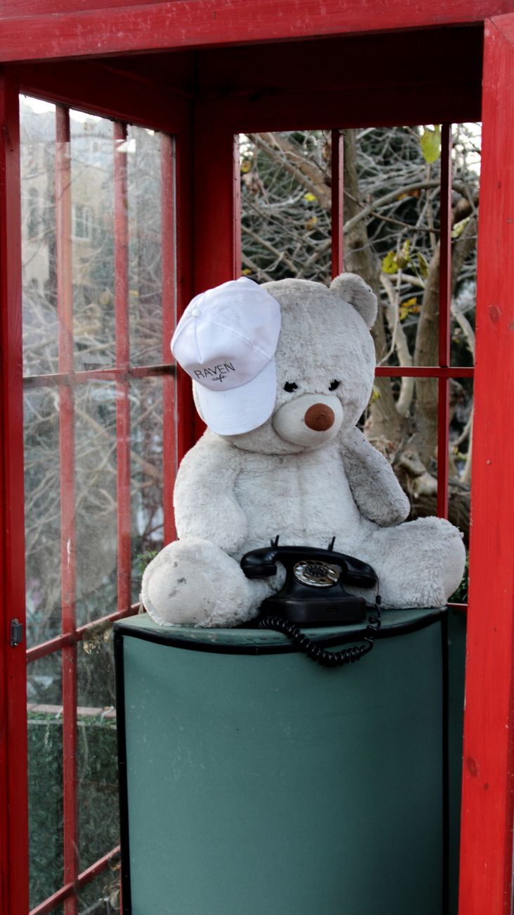 teddy bear sitting in red phone booth